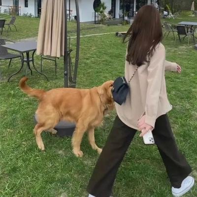 博斯:传承第二季